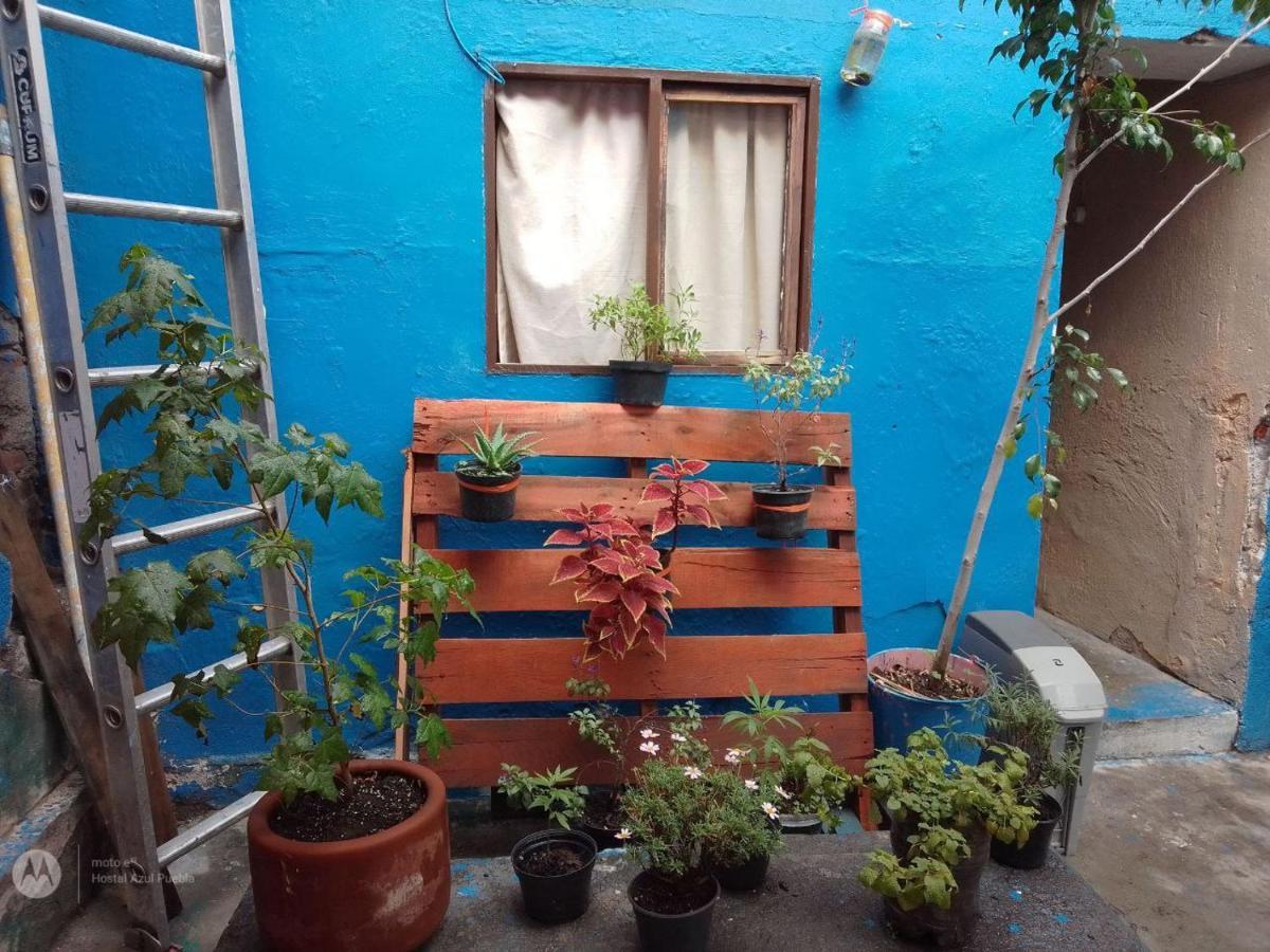 Azul Barrio El Alto Pensión